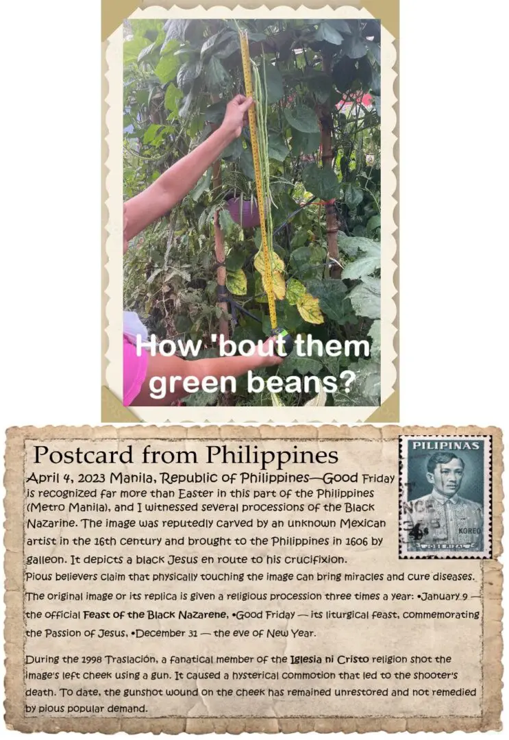 A postcard from philippines with an image of a person holding up a plant.