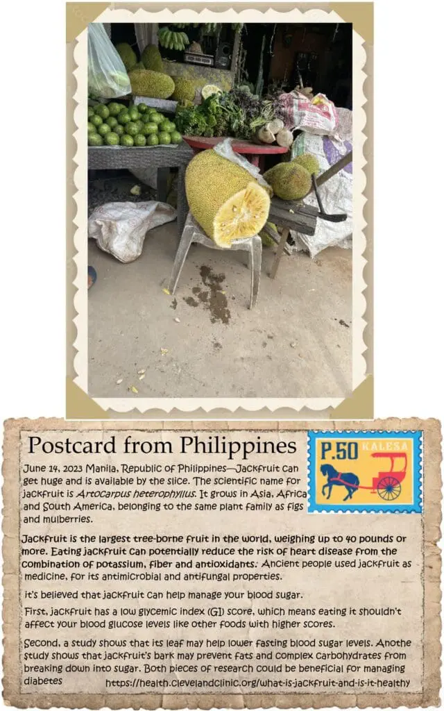 A postcard from philippines with an animal stamp.