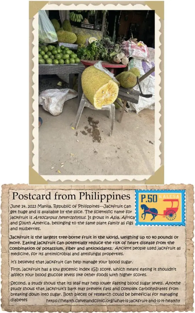 A postcard from philippines with an animal stamp.