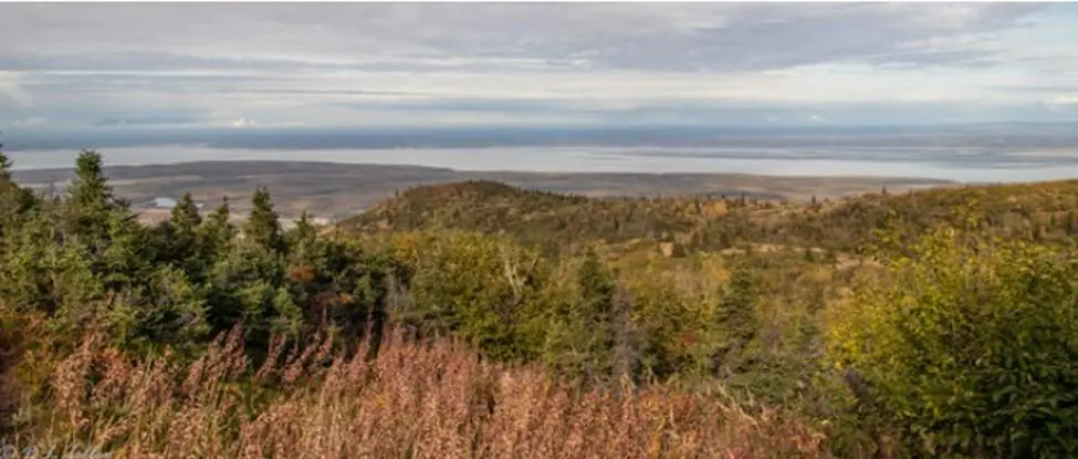 A view of the ocean from above.