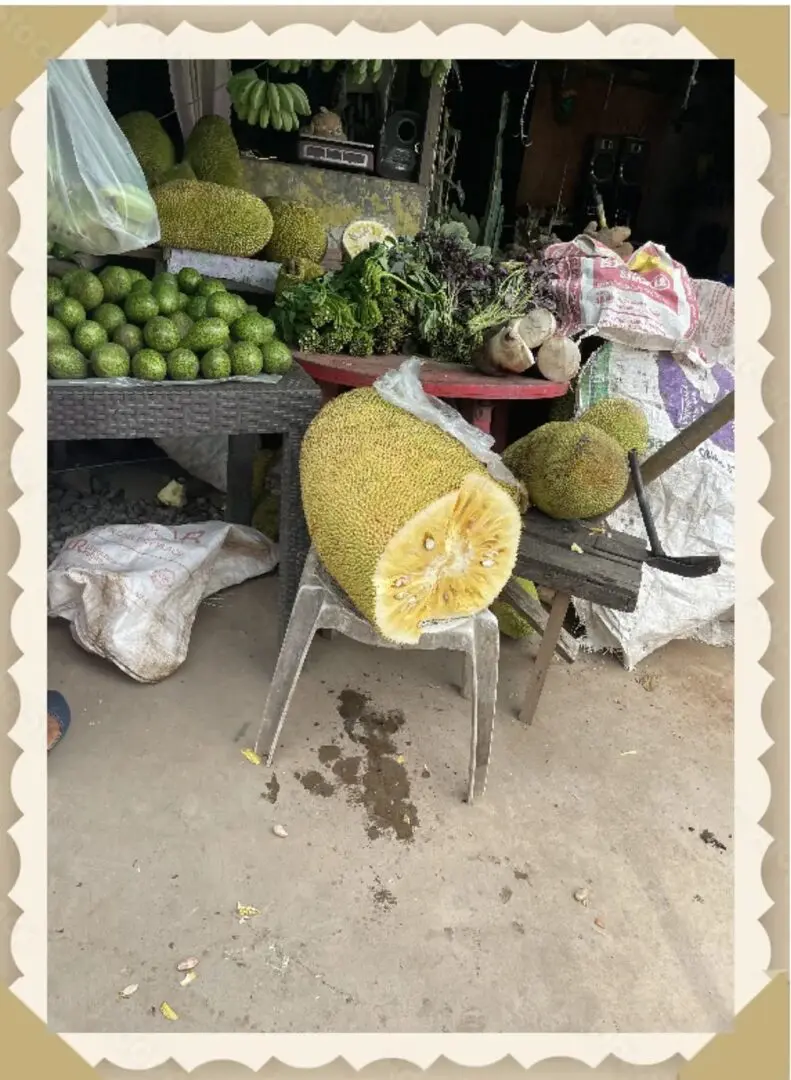 Ripe jackfruit on a chair in a market stall.