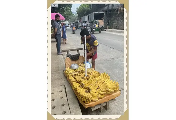 Person selling bananas on the roadside.