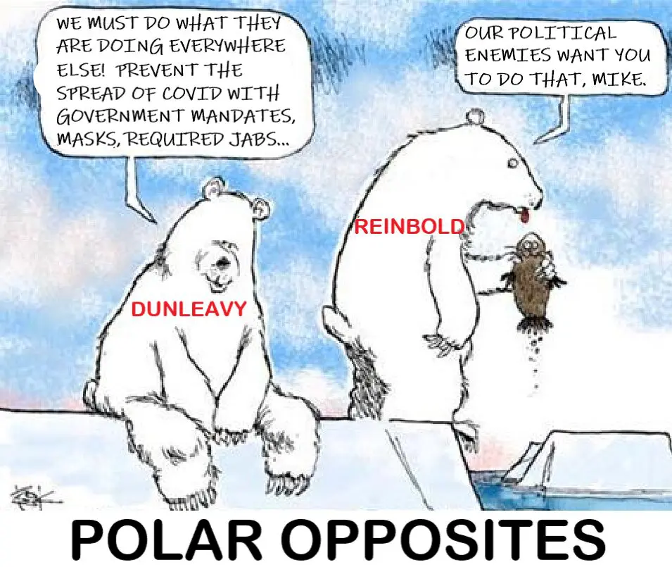 Political polar opposites depicted by polar bears.