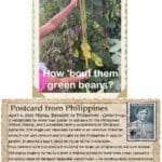 A postcard from philippines with an image of a person holding up a plant.