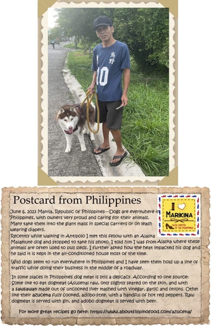 A man walking his dog on the street.