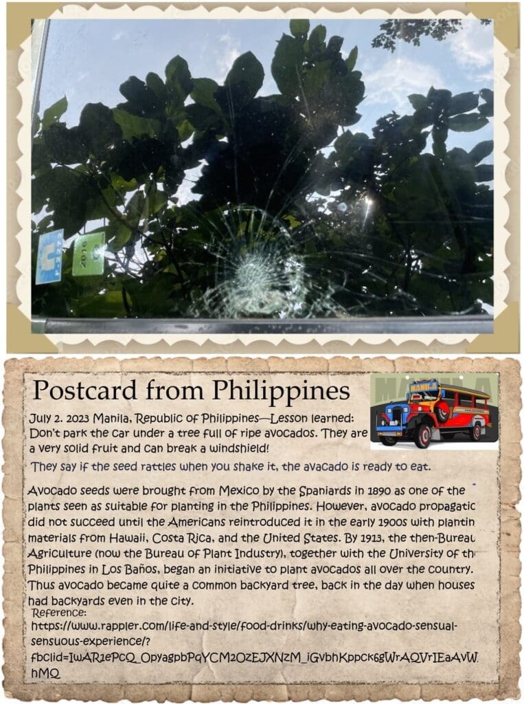 A postcard from philippines with an image of trees.