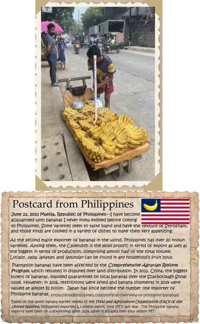 A postcard from philippines with an image of bananas.