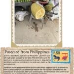 A postcard from philippines with an animal stamp.